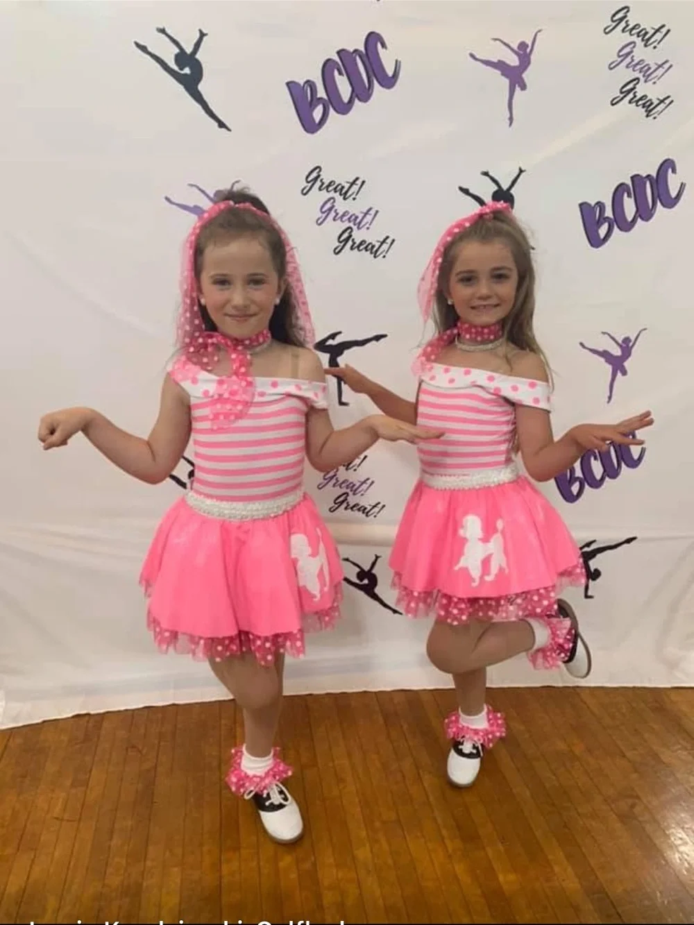 Pink 50s Dance Costume with Poodle Skirt
